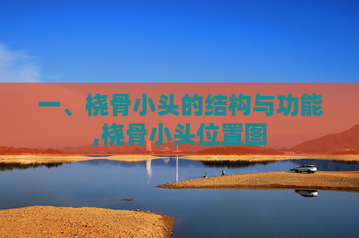 一、桡骨小头的结构与功能,桡骨小头位置图