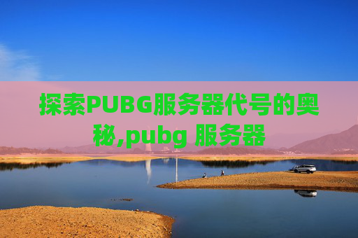 探索PUBG服务器代号的奥秘,pubg 服务器