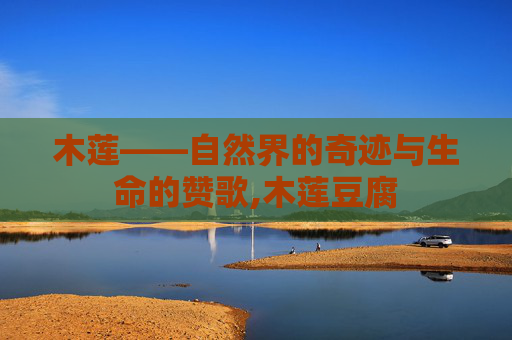 木莲——自然界的奇迹与生命的赞歌,木莲豆腐