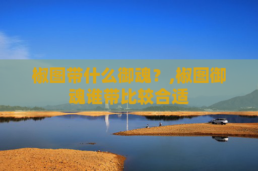 椒图带什么御魂？,椒图御魂谁带比较合适