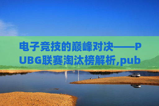电子竞技的巅峰对决——PUBG联赛淘汰榜解析,pubg淘汰赛日志解析