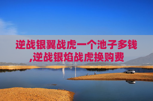 逆战银翼战虎一个池子多钱,逆战银焰战虎换购费