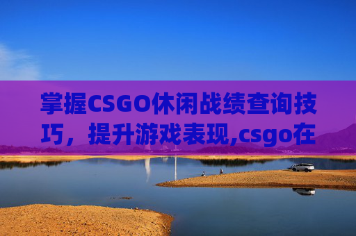 掌握CSGO休闲战绩查询技巧，提升游戏表现,csgo在哪查战绩