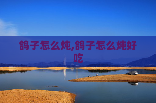 鸽子怎么炖,鸽子怎么炖好吃