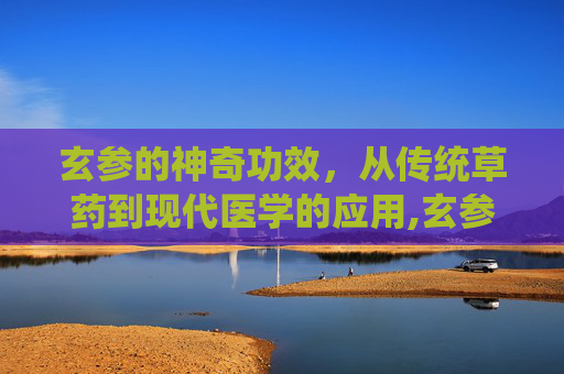 玄参的神奇功效，从传统草药到现代医学的应用,玄参的作用和功能主治