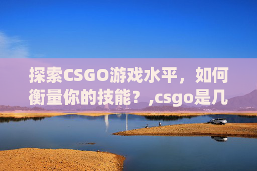 探索CSGO游戏水平，如何衡量你的技能？,csgo是几
