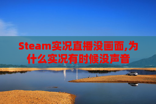 Steam实况直播没画面,为什么实况有时候没声音