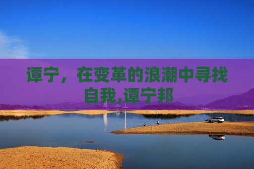 谭宁，在变革的浪潮中寻找自我,谭宁邦