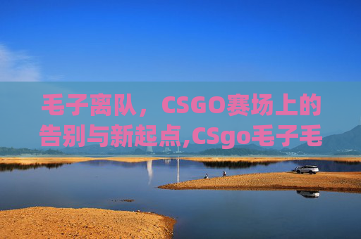 毛子离队，CSGO赛场上的告别与新起点,CSgo毛子毛妹