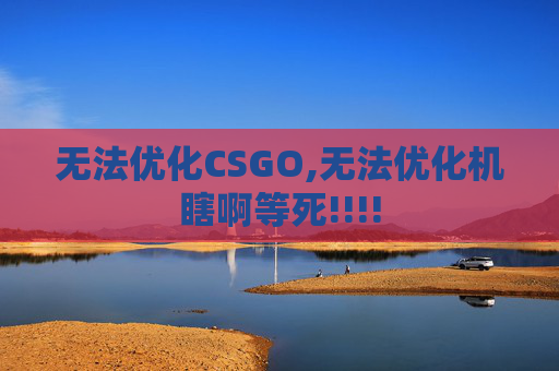 无法优化CSGO,无法优化机瞎啊等死!!!!