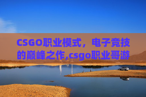 CSGO职业模式，电子竞技的巅峰之作,csgo职业哥游戏设置