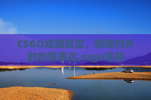 CSGO炫酷留言，游戏内外的创意表达,csgo语录
