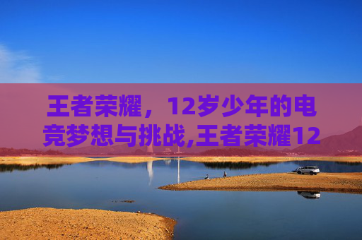 王者荣耀，12岁少年的电竞梦想与挑战,王者荣耀12岁以上可以玩多少小时