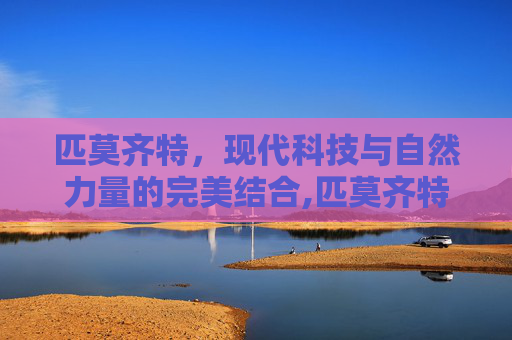 匹莫齐特，现代科技与自然力量的完美结合,匹莫齐特是什么药