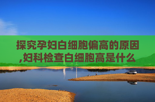 探究孕妇白细胞偏高的原因,妇科检查白细胞高是什么原因