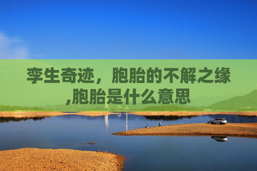 孪生奇迹，胞胎的不解之缘,胞胎是什么意思