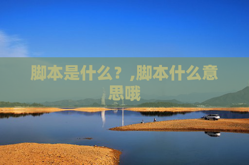 脚本是什么？,脚本什么意思哦