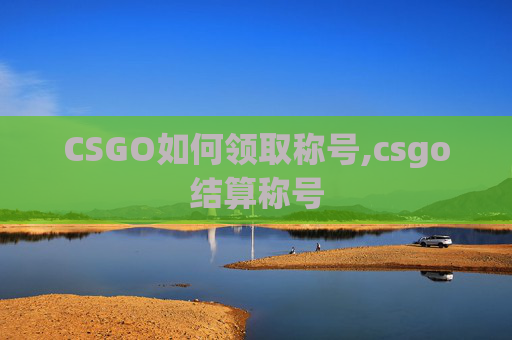 CSGO如何领取称号,csgo结算称号
