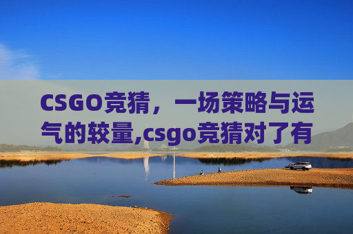 CSGO竞猜，一场策略与运气的较量,csgo竞猜对了有什么奖励