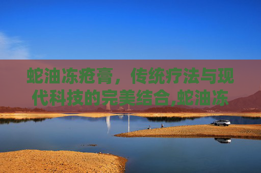 蛇油冻疮膏，传统疗法与现代科技的完美结合,蛇油冻疮膏哪个牌子好
