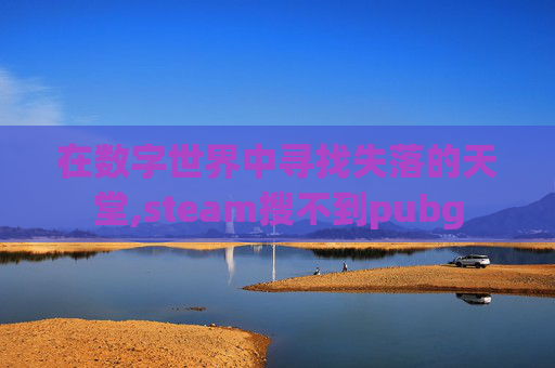 在数字世界中寻找失落的天堂,steam搜不到pubg