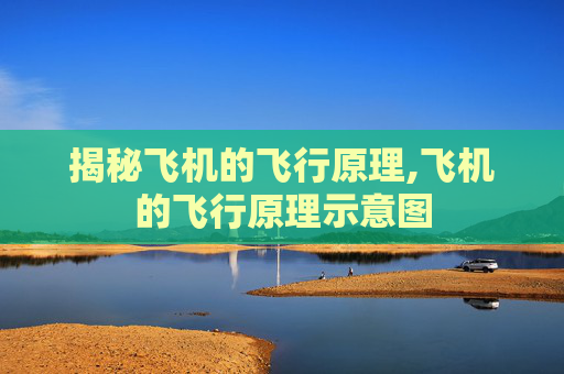 揭秘飞机的飞行原理,飞机的飞行原理示意图
