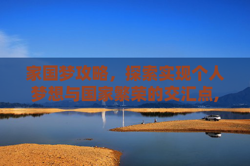 家国梦攻略，探索实现个人梦想与国家繁荣的交汇点,家国梦攻略搭配