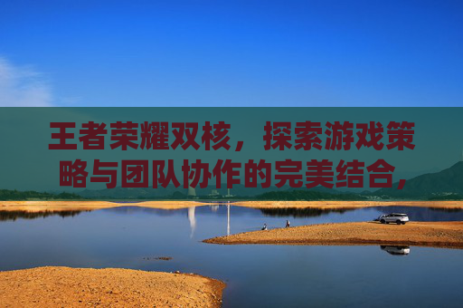王者荣耀双核，探索游戏策略与团队协作的完美结合,王者荣耀双核怎么打