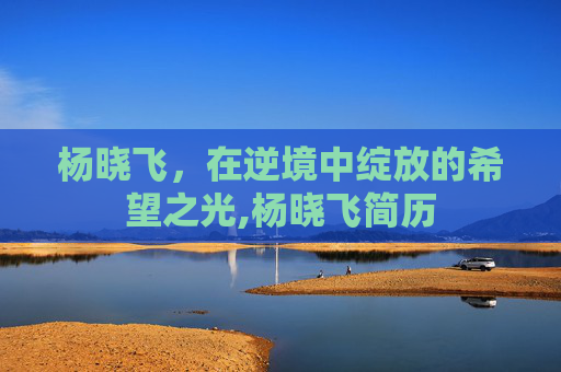 杨晓飞，在逆境中绽放的希望之光,杨晓飞简历