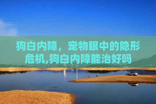 狗白内障，宠物眼中的隐形危机,狗白内障能治好吗