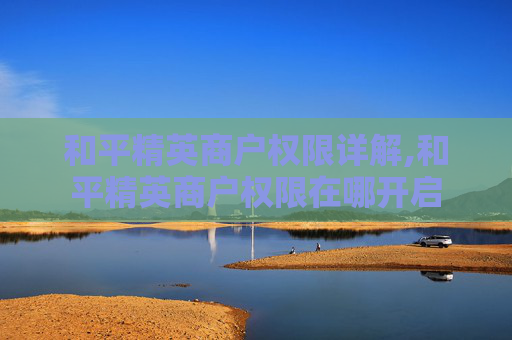 和平精英商户权限详解,和平精英商户权限在哪开启