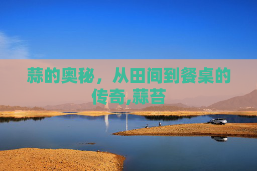 蒜的奥秘，从田间到餐桌的传奇,蒜苔
