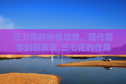 三七花的神奇功效，现代医学的新发现,三七花的作用与功效