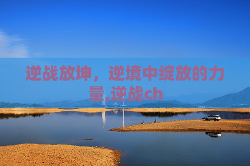 逆战放坤，逆境中绽放的力量,逆战ch