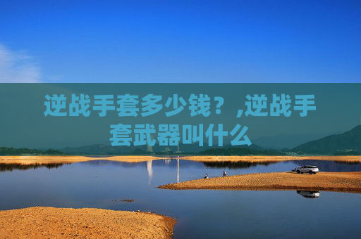 逆战手套多少钱？,逆战手套武器叫什么