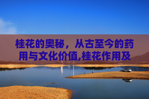 桂花的奥秘，从古至今的药用与文化价值,桂花作用及食用方法