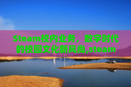 Steam校内业务，数字时代的校园文化新风尚,steam校招