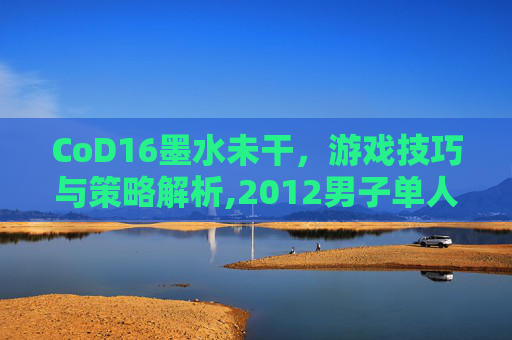 CoD16墨水未干，游戏技巧与策略解析,2012男子单人十米跳台