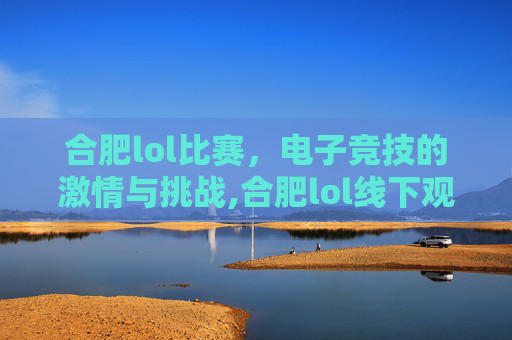 合肥lol比赛，电子竞技的激情与挑战,合肥lol线下观赛