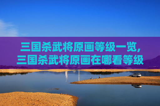三国杀武将原画等级一览,三国杀武将原画在哪看等级啊