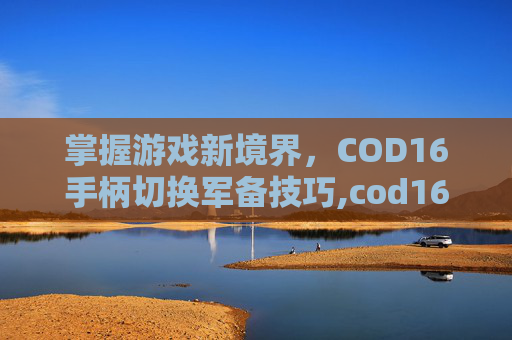 掌握游戏新境界，COD16手柄切换军备技巧,cod16手柄自定义按键