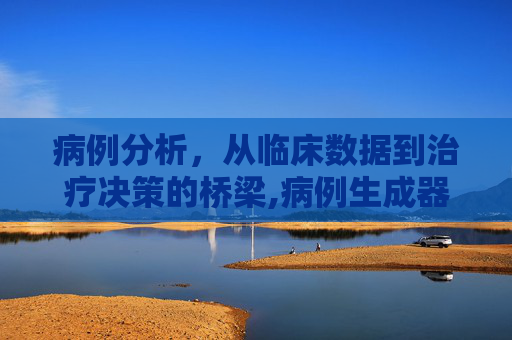 病例分析，从临床数据到治疗决策的桥梁,病例生成器