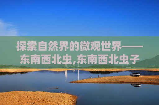 探索自然界的微观世界——东南西北虫,东南西北虫子图片