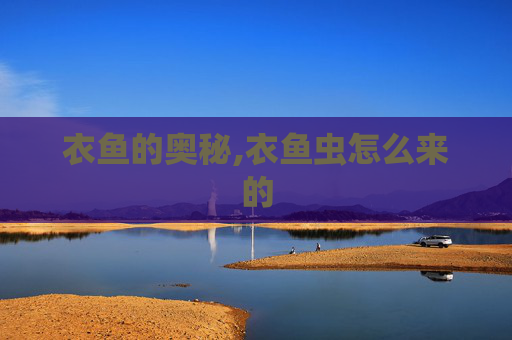 衣鱼的奥秘,衣鱼虫怎么来的