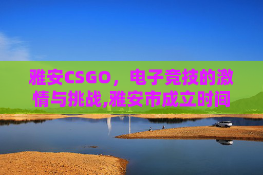 雅安CSGO，电子竞技的激情与挑战,雅安市成立时间