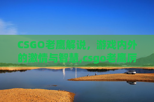 CSGO老鹰解说，游戏内外的激情与智慧,csgo老鹰厉害吗