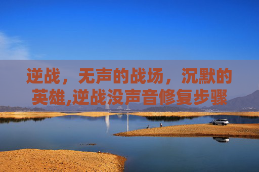 逆战，无声的战场，沉默的英雄,逆战没声音修复步骤