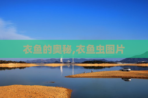 衣鱼的奥秘,衣鱼虫图片