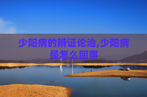 少阳病的辨证论治,少阳病是怎么回事