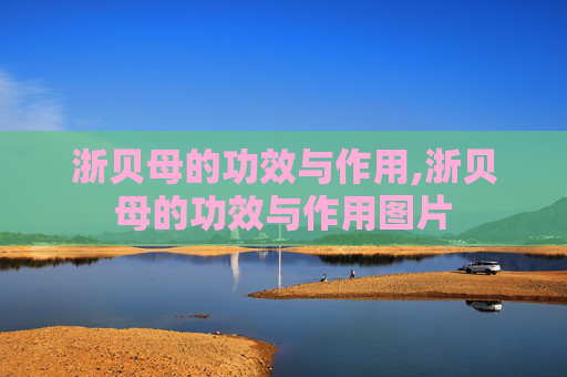 浙贝母的功效与作用,浙贝母的功效与作用图片